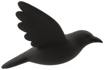 One raven, one letter